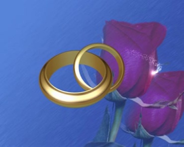 黄金戒指婚戒对戒扣在一起爱情信物背景视频素材
