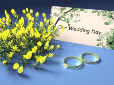 婚礼日一对戒指婚戒结婚动态背景视频素材