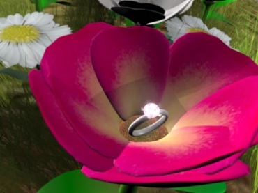 一枚钻戒躺在花瓣中浪漫婚礼视频素材