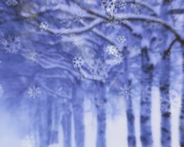 冬日白雪树木雪花雪片飘雪视频素材