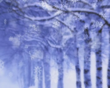 冬日白雪树木雪花雪片飘雪视频素材