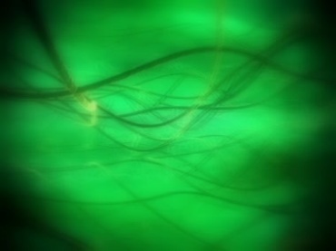 绿色空间线条绳索肠子缠绕特效视频素材