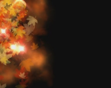 枫叶掉落炫光动态特效视频素材