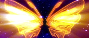 金色蝴蝶翅膀扇动星空粒子Led背景视频素材