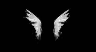 天使的翅膀双翅扇动黑屏抠像特效视频素材