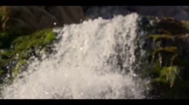 大自然美景森林树林植物瀑布(有音乐)视频素材