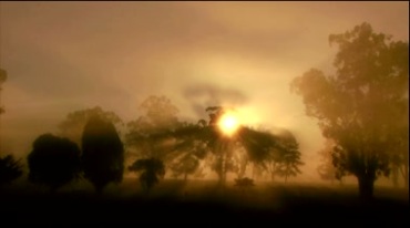 日出太阳升起光芒从树杈间漏出照射清晨阳光视频素材
