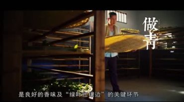 中国茶道茶文化知识采茶叶制作品茶过程宣传片视频素材