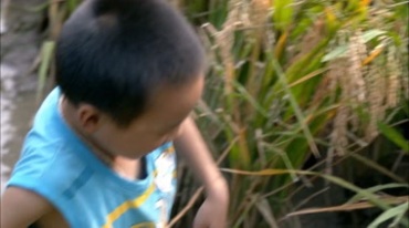 农村山村小孩到稻田里抓鱼捞鱼喜悦开心笑脸视频素材