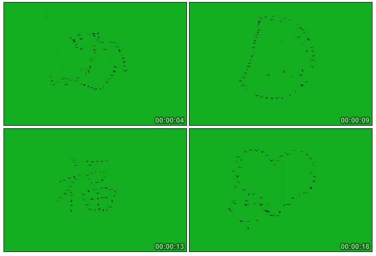 大雁飞鸟飞行组成福字爱心形状绿屏抠像后期特效视频素材