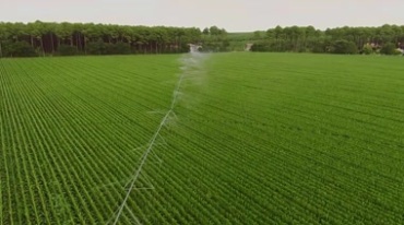 高科技节水农业智能灌溉喷洒系统视频素材