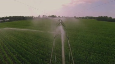 高科技节水农业智能灌溉喷淋系统视频素材