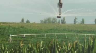 农业智能灌溉喷灌节水浇灌农田视频素材