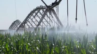 高科技节水农业智能灌溉喷淋喷灌洒水系统视频素材