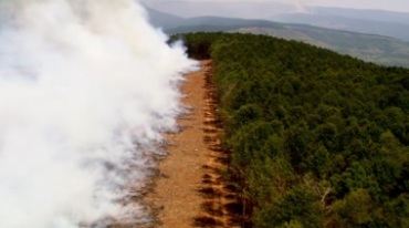 焚烧山林白烟腾起实拍视频素材