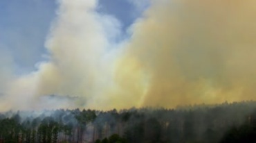 焚烧山林白烟腾起实拍视频素材