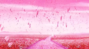 满眼的红色花瓣雨落到地上漫山遍野红花视频素材