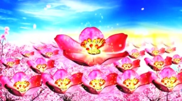 桃花林红花瓣民歌红歌背景视频素材