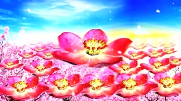 桃花林红花瓣民歌红歌背景视频素材