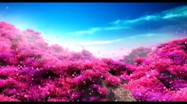 漫山遍野红花红树丛花瓣粒子飘散背景视频素材
