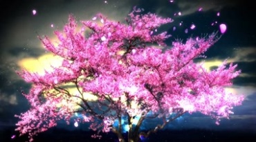 桃树满树桃花老树魔幻神树背景视频素材