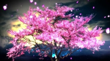 桃树满树桃花老树魔幻神树背景视频素材