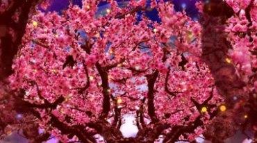 桃树林桃花满枝头粉色花朵推进背景视频素材