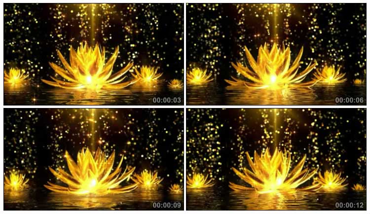 金色莲花旋转闪光粒子圣光照耀背景视频素材