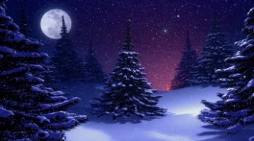 圣诞雪夜森林月光圣诞树魔法粒子背景视频素材