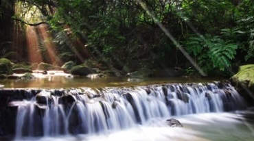 树林深处池塘流水蝴蝶飞舞美景视频素材