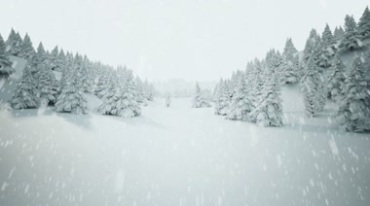 树林满天飞雪落雪飘雪下雪白色世界视频素材
