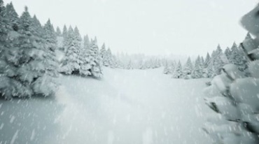 树林满天飞雪落雪飘雪下雪白色世界视频素材