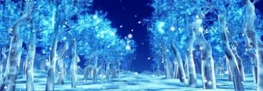 唯美雪花水晶树林结冰湖面冬景视频素材
