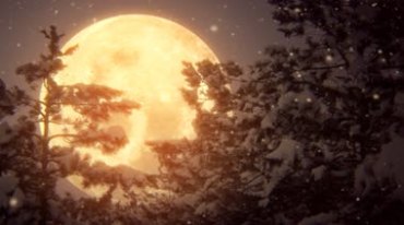 下雪夜超级大月亮视频素材