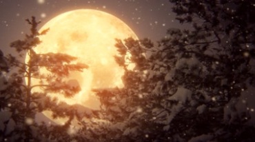 下雪夜超级大月亮视频素材