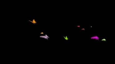 一群五颜六色蝴蝶飞过后期特效视频素材