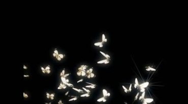 一群白色的发光蝴蝶空中飞舞后期抠像特效视频素材