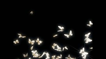一群白色的发光蝴蝶空中飞舞后期抠像特效视频素材