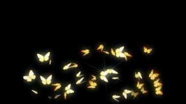 一群金色闪光蝴蝶飞舞透明抠像后期特效视频素材