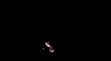 粉红色蝴蝶扇动翅膀飞行粒子精灵梦幻后期抠像特效视频素材