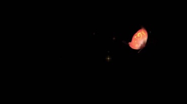 火红色蝴蝶飞过留下星光粒子痕迹后期特效视频素材