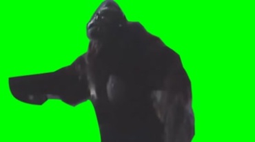 金刚猩猩发怒绿屏抠像影视特效视频素材