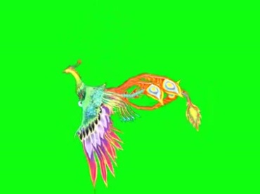 凤凰飞翔多彩翅膀绿幕抠像后期特效视频素材