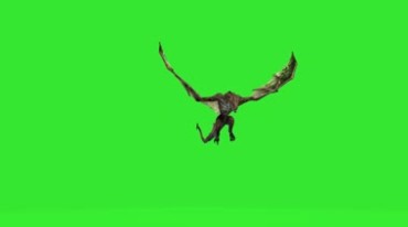 怪兽飞龙飞兽怪物飞行俯冲绿屏抠像后期特效视频素材