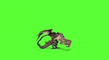 长翅膀的恐龙怪兽咆哮张开翅膀起飞绿屏后期特效视频素材