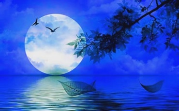 湖上月色中秋节圆月大月亮视频素材