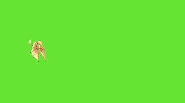 小飞龙喷火绿屏抠像后期特效视频素材