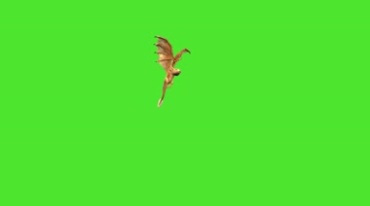 小飞龙喷火绿屏抠像后期特效视频素材
