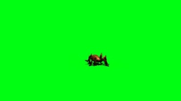 巨型蜘蛛爬行多角度摄影绿屏抠像后期特效视频素材