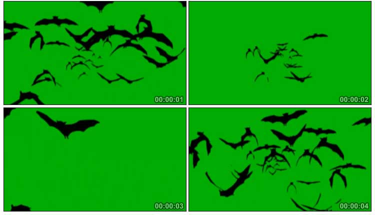 一群飞来的黑蝙蝠绿幕抠像后期特效视频素材